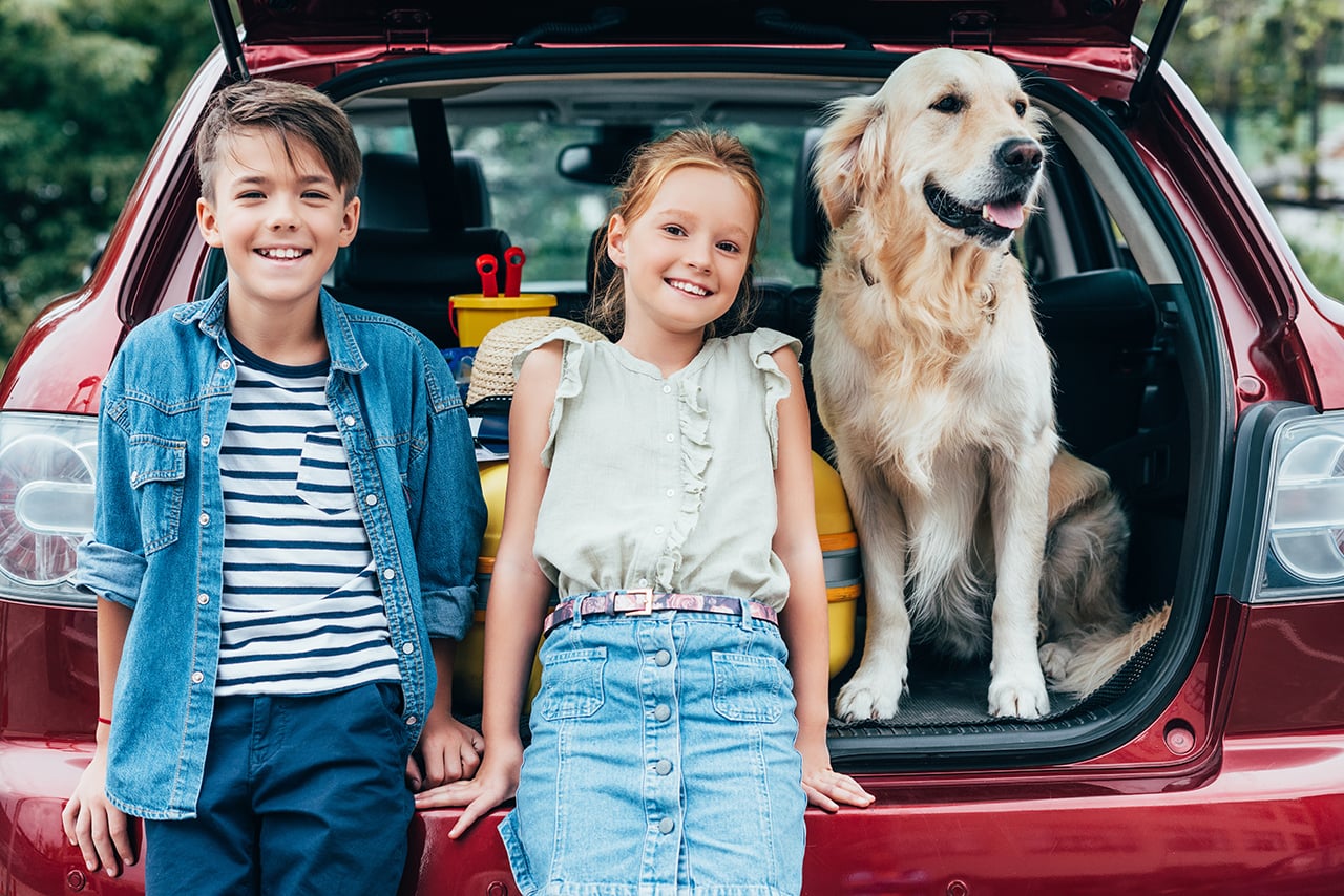 Why GAP Coverage Is Essential for Every Vehicle Owner