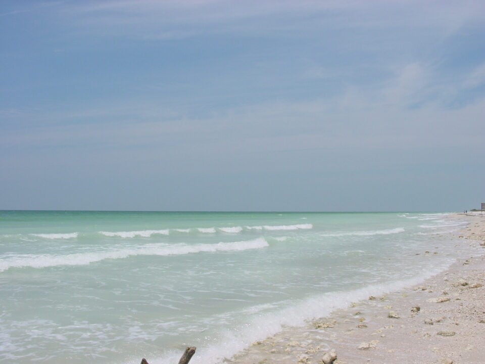 White sand beach and Gulf surf at Honeymoon Island State Park near Dunedin, Florida
