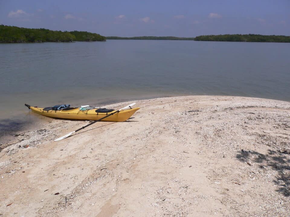 A kayaker paddling through the mangroves of the Ten Thousand Islands near Everglades City, Florida