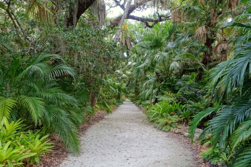 A palm-lined pathway at McKee Botanical Garden in Vero Beach, Florida