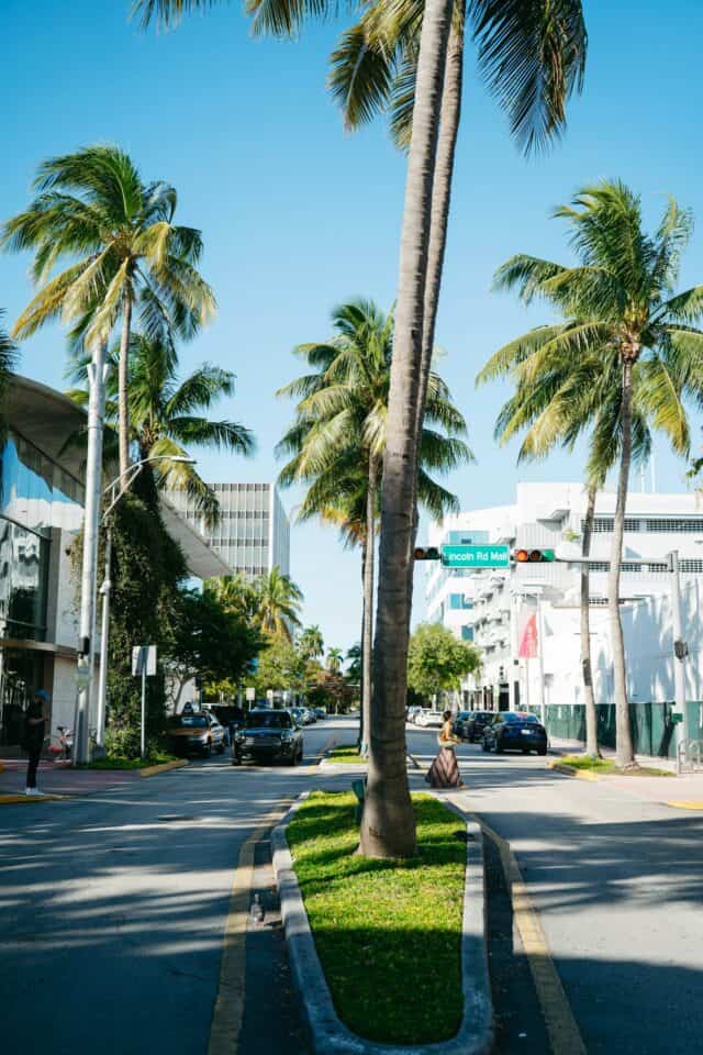 Palm-lined street with white buildings under a blue sky in South Florida