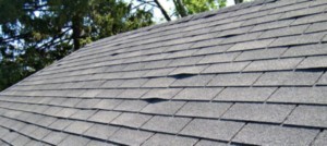 What is a Wind Mitigation Inspection