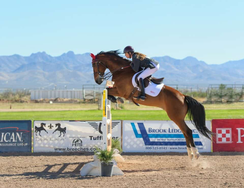 A horse and rider clearing a fence at a show jumping competition