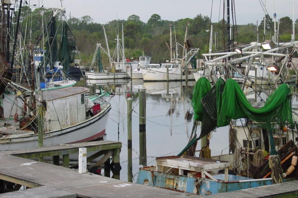 Shrimp boats tied up at the docks in Apalachicola, Florida