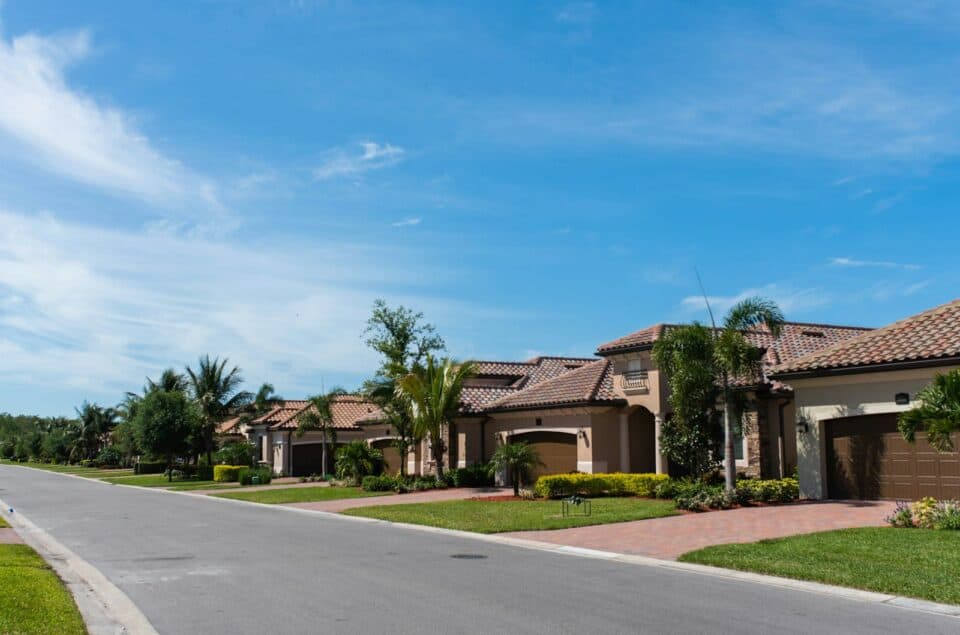 Palm trees along a street of Mediterranean-style homes in a suburban neighborhood