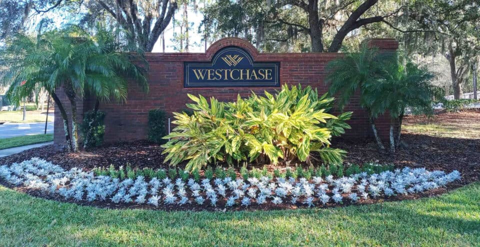 Westchase 33626 neighborhood entrance and community