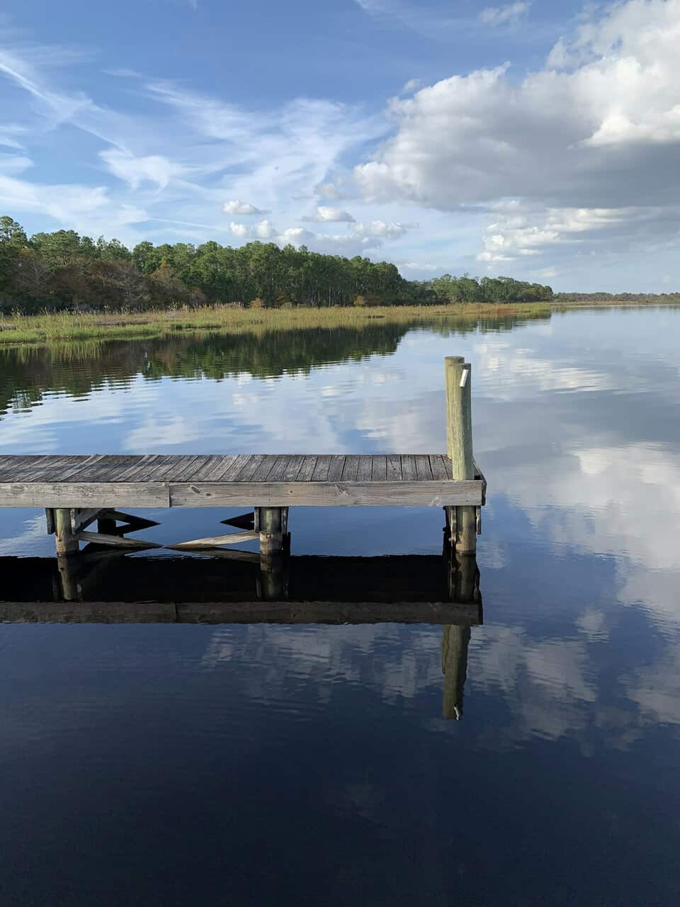 Wooden dock extending over calm Florida water